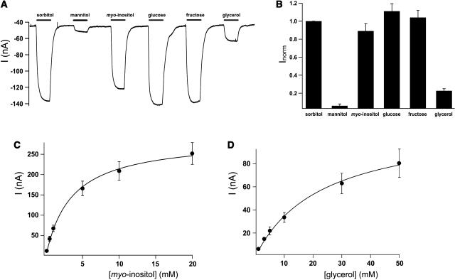 Figure 5.