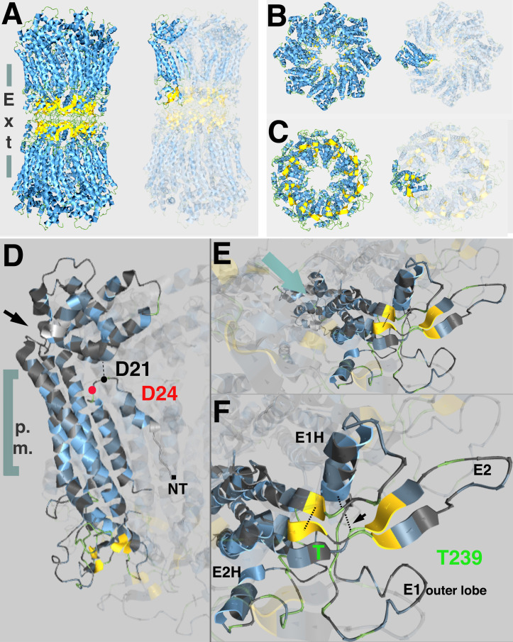 Figure 1—figure supplement 1.