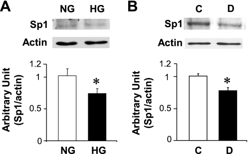 Fig. 10.