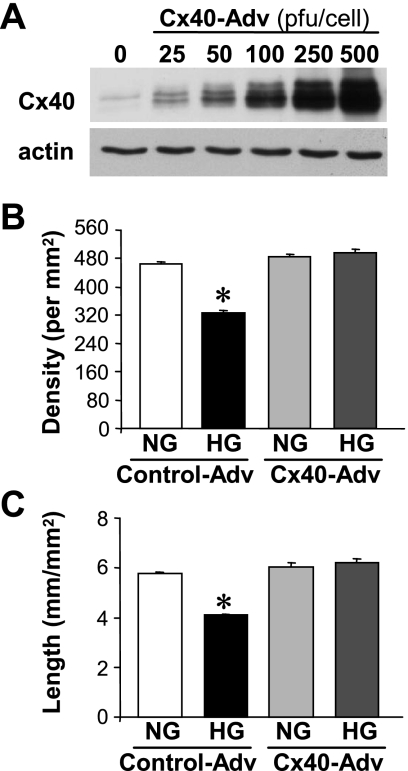 Fig. 9.