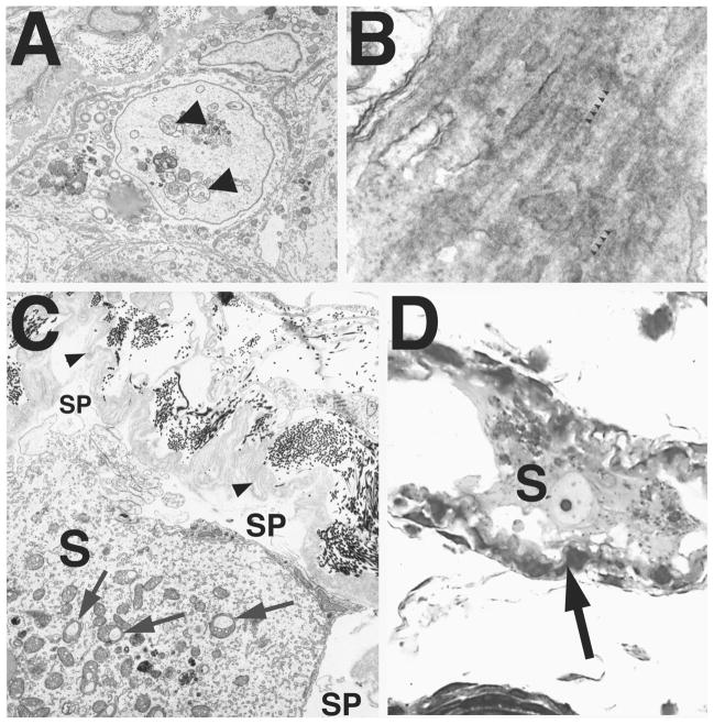 FIG. 7