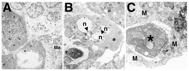 FIG. 5