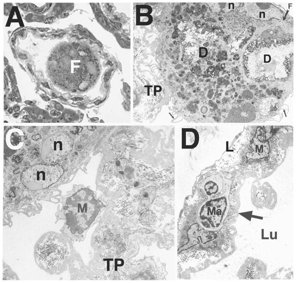 FIG. 9