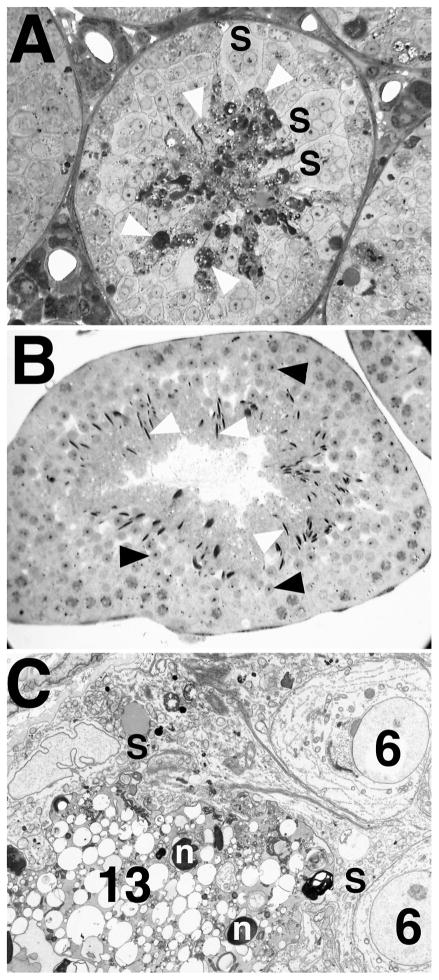 FIG. 6