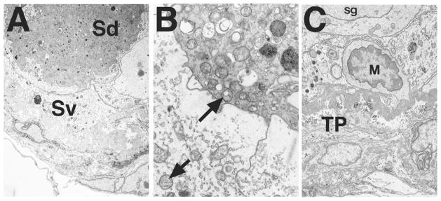 FIG. 8