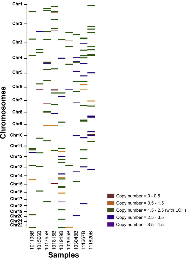 Supplementary Fig. S5