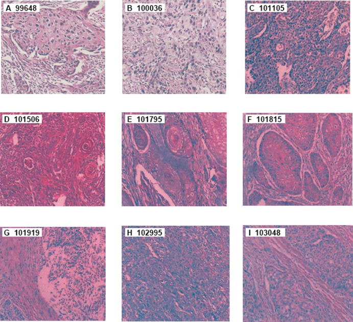 Supplementary Fig. S1