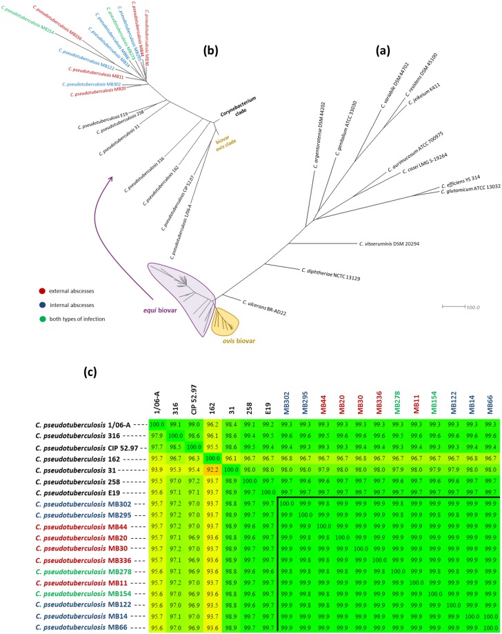 Fig 4