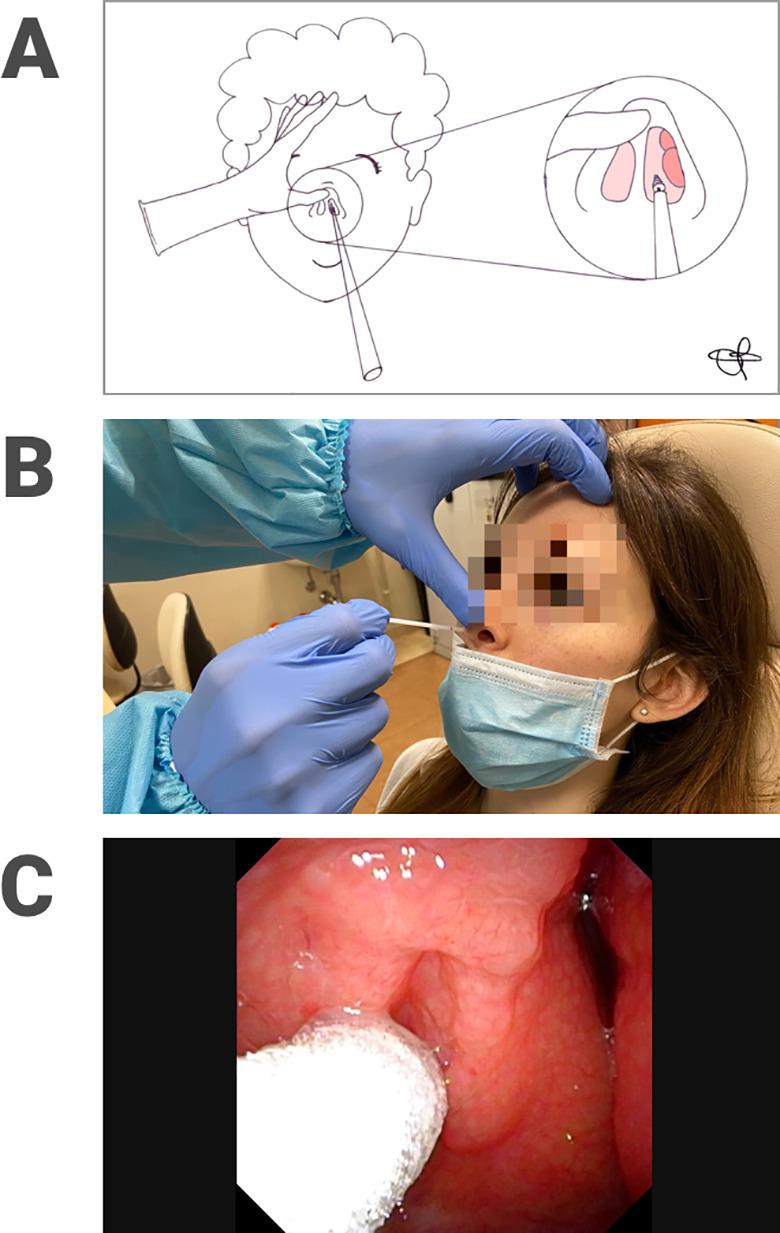 Figure 2.