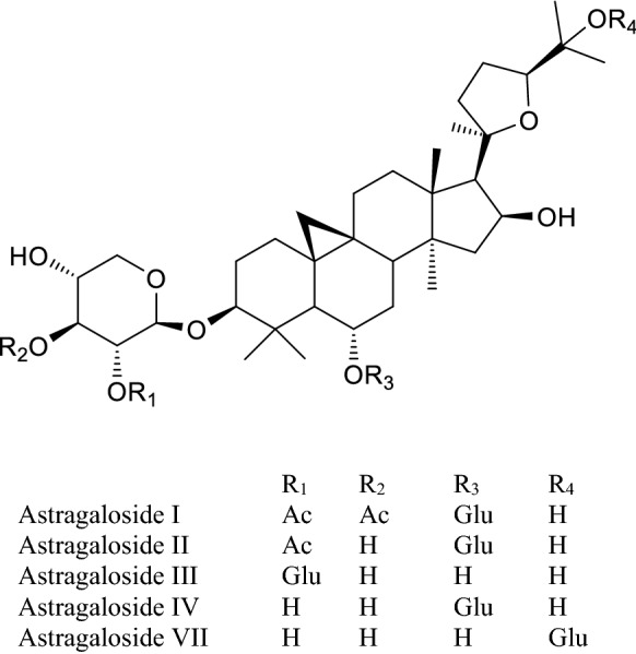 Fig. 12