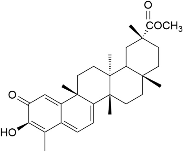 Fig. 5