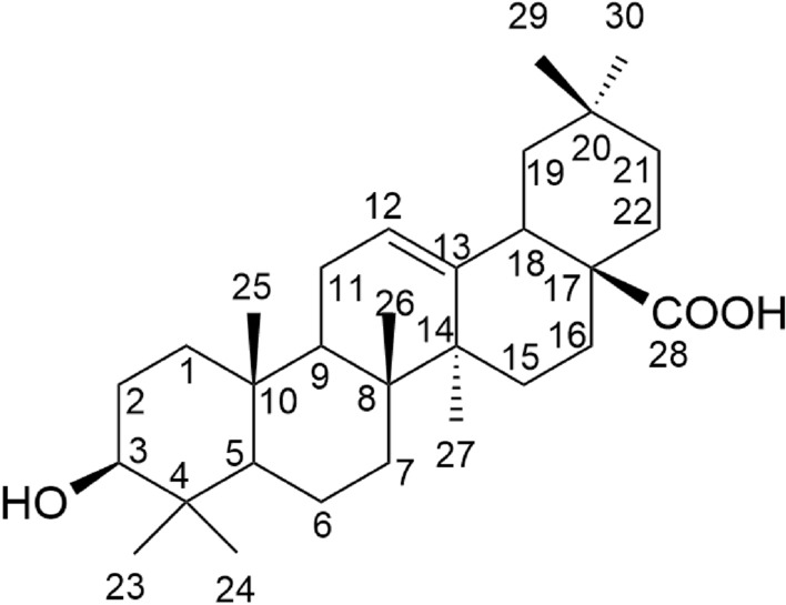 Fig. 2