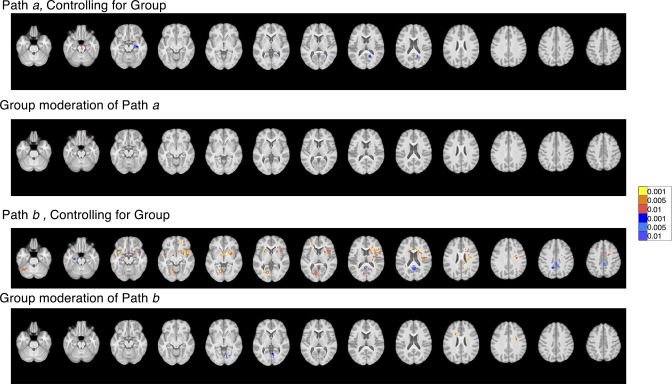 Figure 6—figure supplement 5.