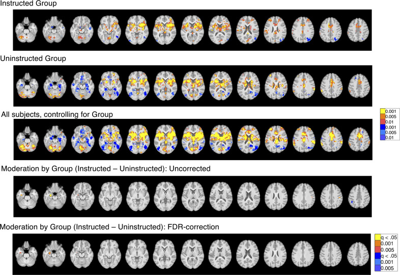 Figure 2—figure supplement 1.