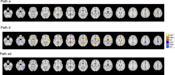 Figure 5—figure supplement 6.