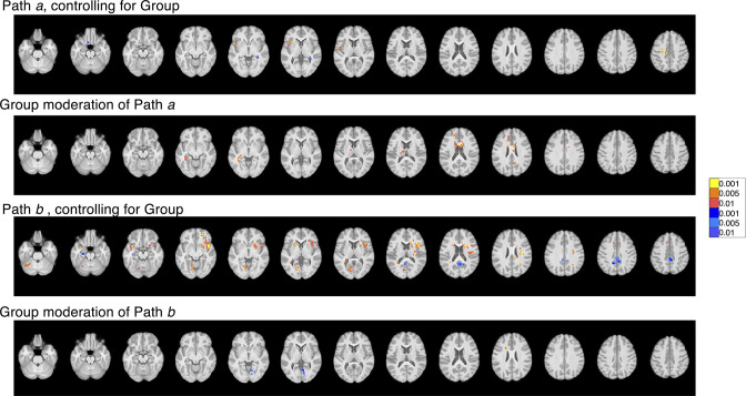 Figure 5—figure supplement 7.