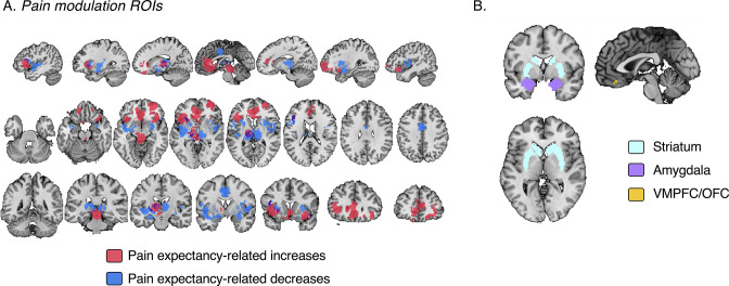 Figure 5—figure supplement 1.