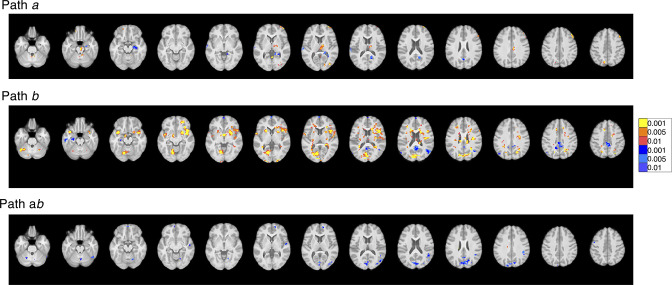 Figure 6—figure supplement 4.