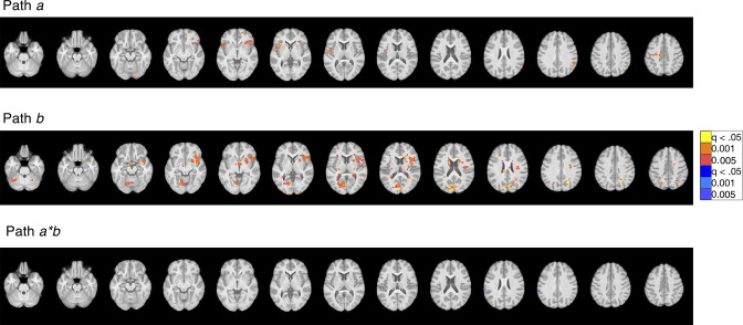 Figure 5—figure supplement 4.