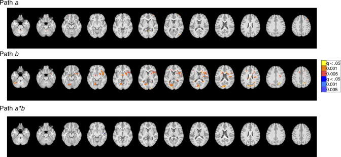 Figure 6—figure supplement 1.