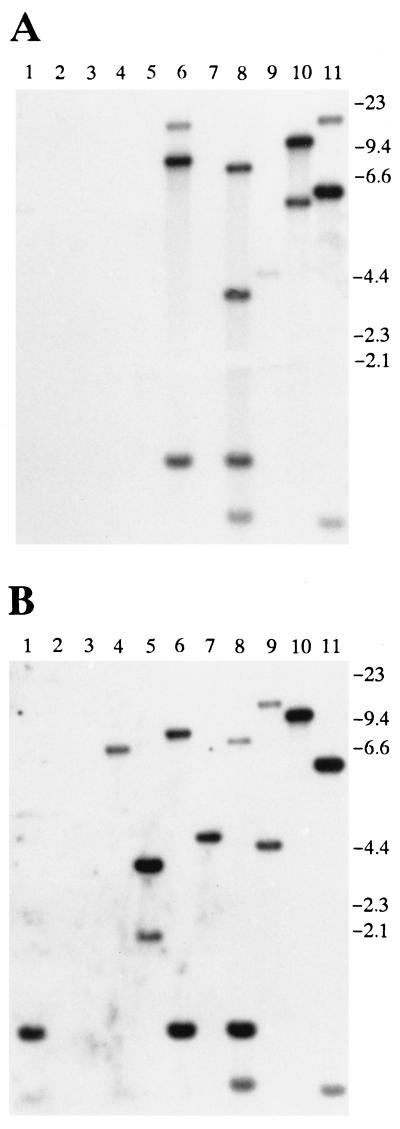 FIG. 6