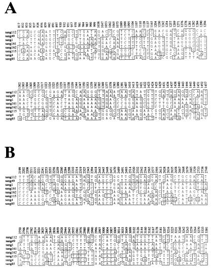 FIG. 7