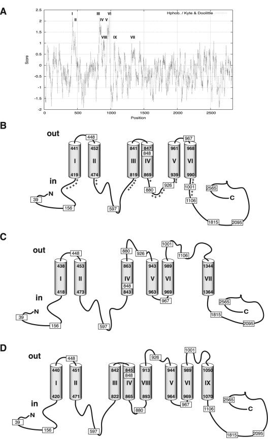 FIG. 2.