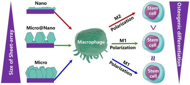 Graphical Abstract