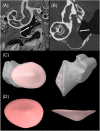 Fig. 4