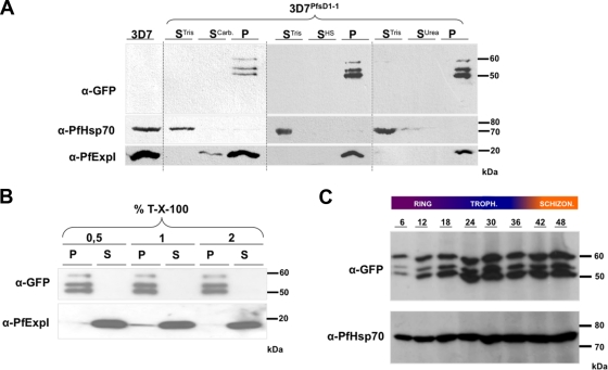 FIG. 5.