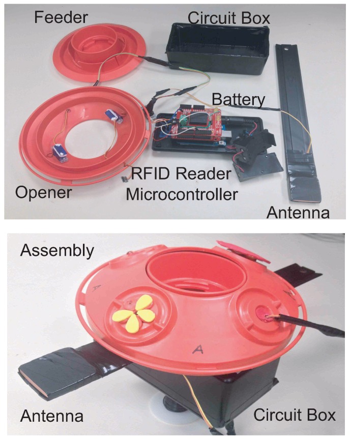 Figure 3