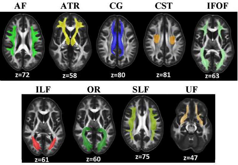 Fig.2.