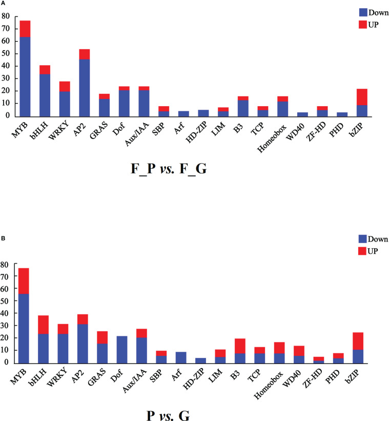 Figure 7