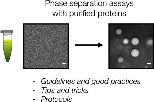 Unlabelled Image