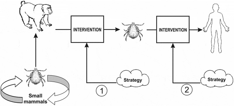 Figure 2.