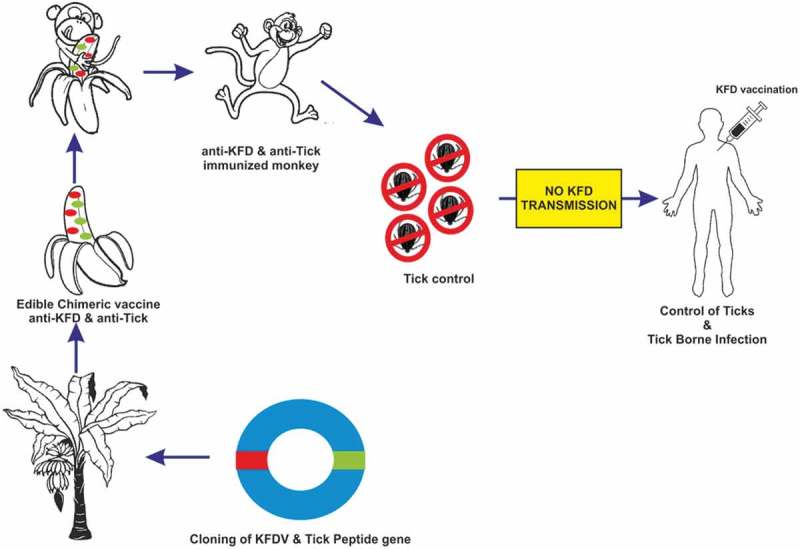 Figure 3.