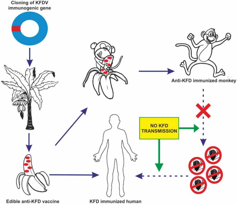 Figure 3.