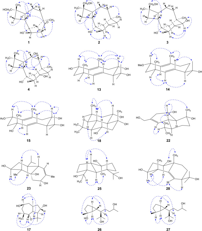 Fig. 3