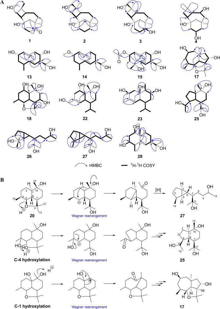 Fig. 2