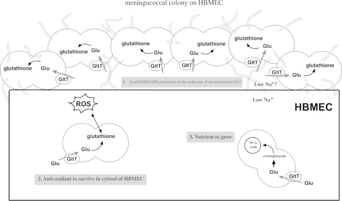 FIG 10