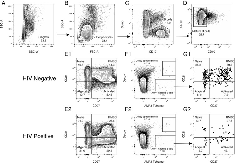 FIGURE 3.