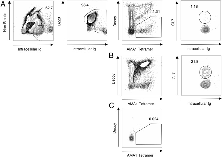 FIGURE 2.