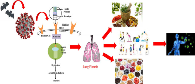 Image, graphical abstract