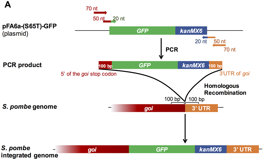 Figure 14.
