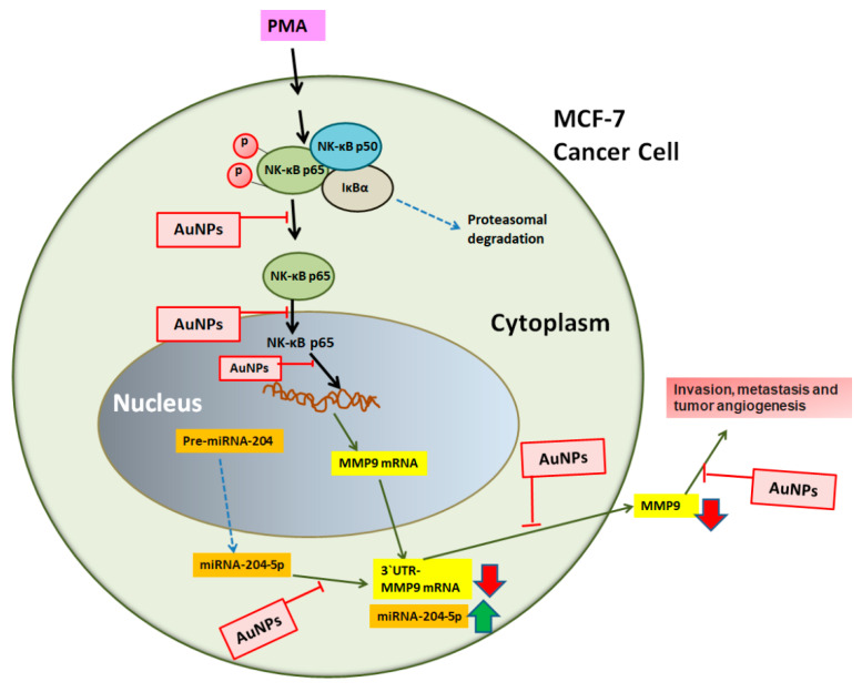 Figure 10