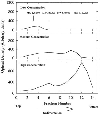 FIG. 9