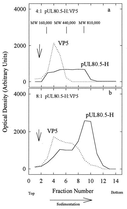 FIG. 10