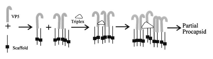 FIG. 11