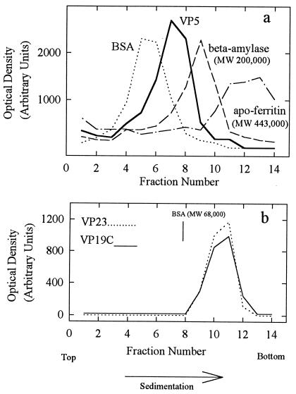 FIG. 8