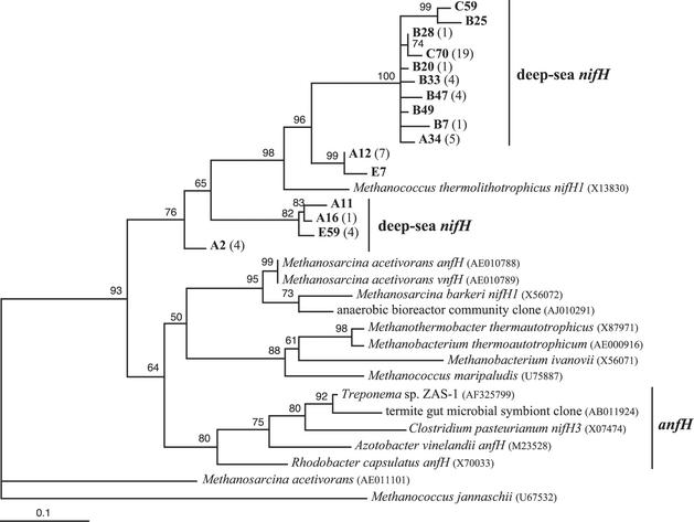 FIG. 5.